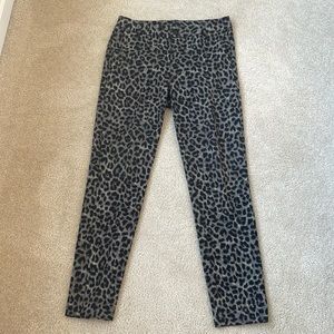 CAbi #3393 Jungle Knit Pants size 6 Ankle length EUC